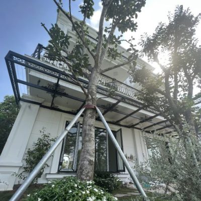 Mái kính sân vườn tạo không gian gần gũi thiên nhiên